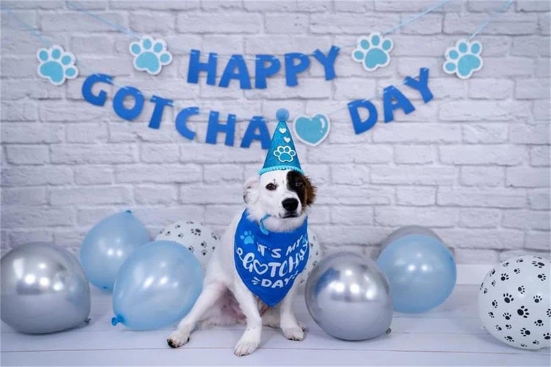 Kate 7x5ft White Brick Wall Photography Backdrops Portrait Photo Background Photo Studio Props - Image 3